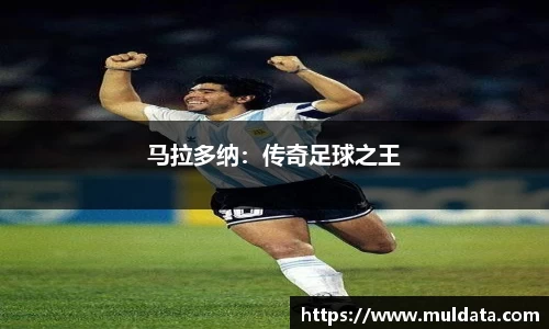 yy体育