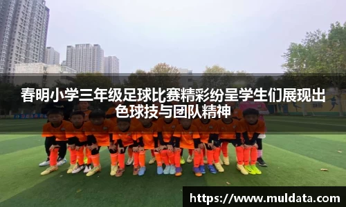 yy体育