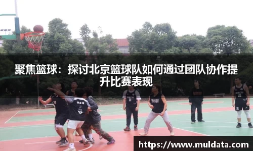 聚焦篮球：探讨北京篮球队如何通过团队协作提升比赛表现