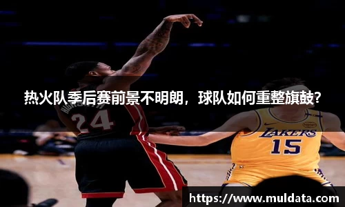 热火队季后赛前景不明朗，球队如何重整旗鼓？