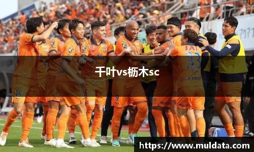 yy易游