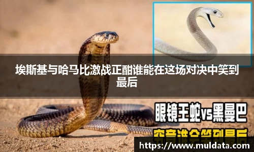 yy易游