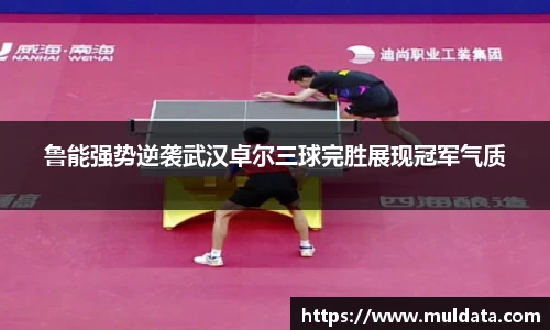 易游体育