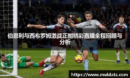 yy体育