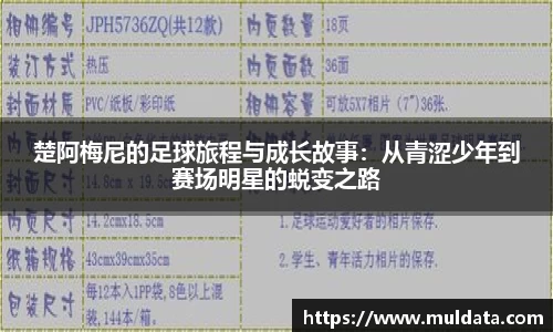 yy易游