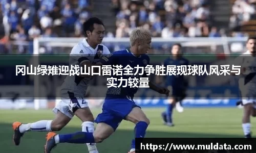 yy体育
